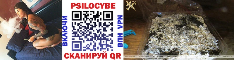 наркошоп  Камбарка  Псилоцибиновые грибы Cubensis 